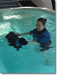 Cherrytree Canine  Hydrotherapy Kent -  Gallery 10